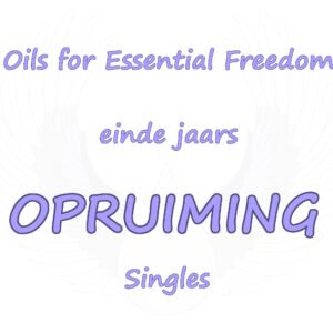 Einde jaar opruiming: Singles